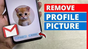 How to Remove Profile Picture From Google Account on Phone (Updated)