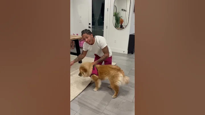 Mom Catches Dad Yelling At Dog Because Of This #shorts