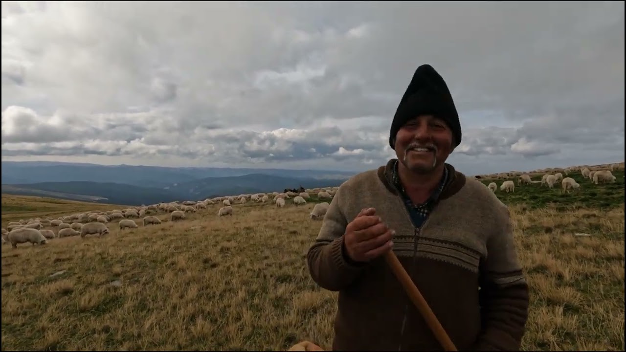 Transhumanta Cu Ilie Badan -O Adevărată Enciclopedie A Oieritului .Viata la Încercat-Iubește Oile 