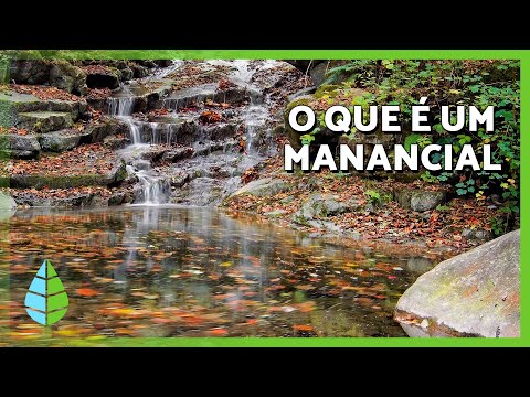 OS MANANCIAIS 💦🏞️ | O que são, como se formam e sua importância