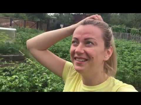 Аленушка лайф последние видео на ютубе. Алёнушка лайф. Алёнушка лайф ютуб. Аленушка лайф инстаграм. Аленушка лайф последние видео на ютубе.