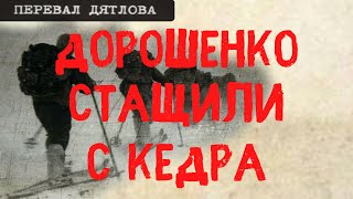 Перевал Дятлова. Дорошенко стащили за ноги с кедра и придушили