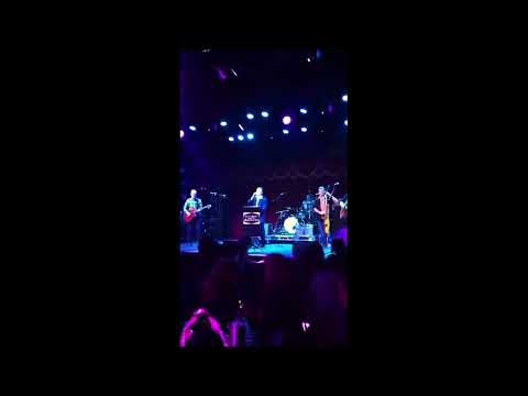 ronnie ripple and the ripchords...live!