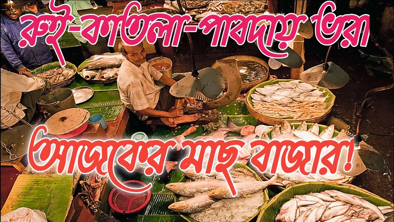 রুই-কাতলা-পাবদায় ভরা আজকের মাছ বাজার!Ru'i-kātalā-pābadāẏa bhārā ājakēra bājāra!