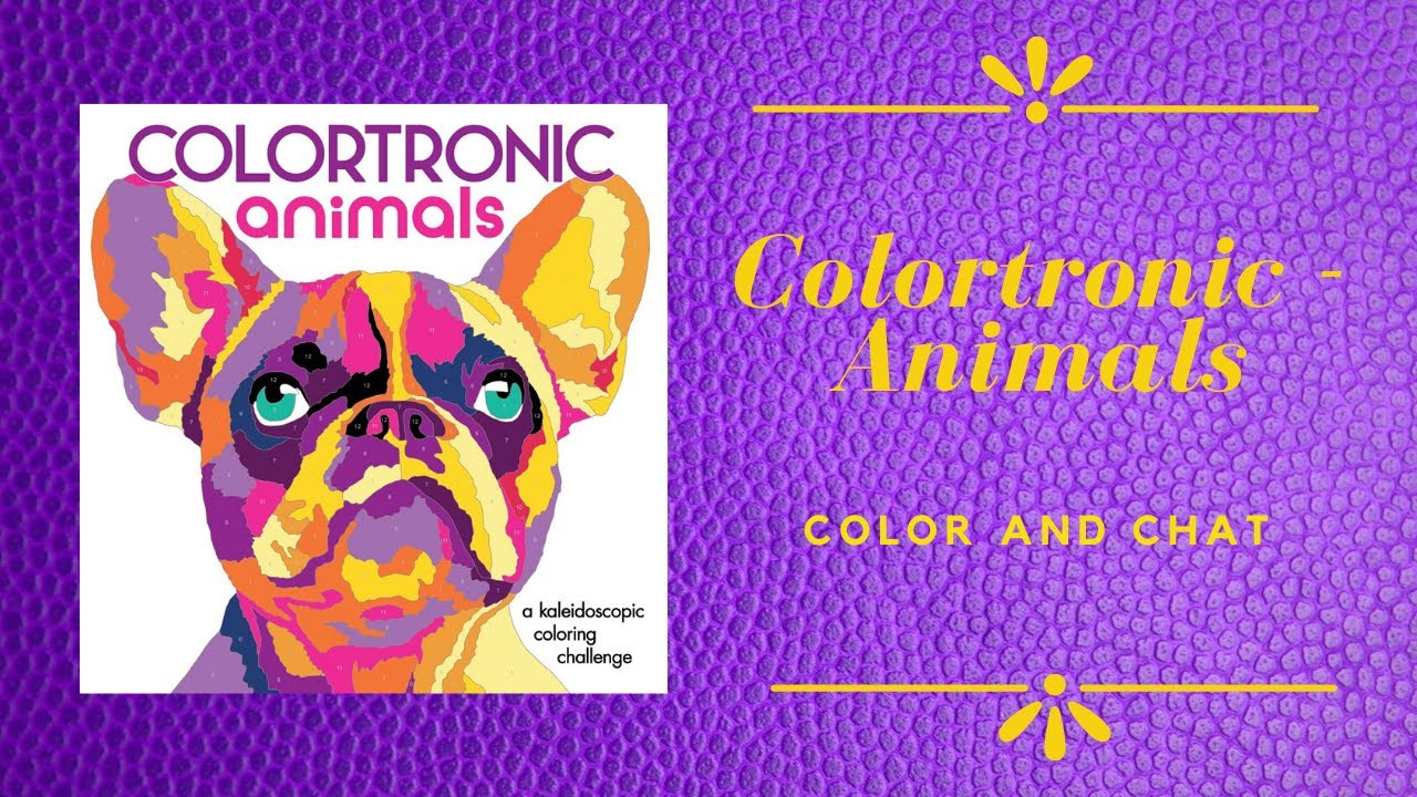Download Colortronic Animals Color And Chat Youtube