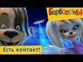 Есть контакт 👽 Барбоскины 🚀 Новая серия | 182 | Премьера!