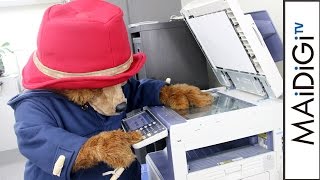 パディントン、編集部お手伝いも“ドジっ子”ぶり発揮　#Paddington　#movie