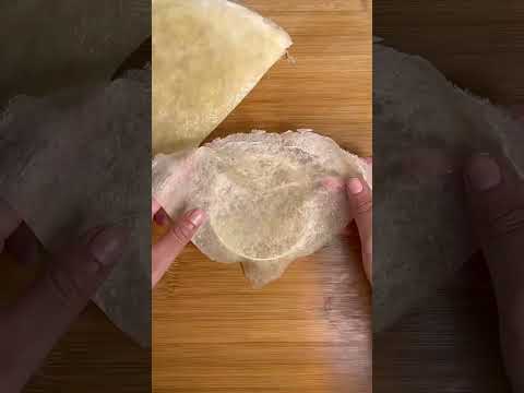 بسيطلات صغار بالحوت الجزء الثاني