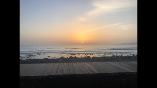 Tenerife 🐥