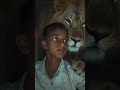 lion 🦁🦁🦁#viral video 📸📸