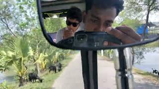 Mongla Beautiful Forest Video Imiss You I Love You