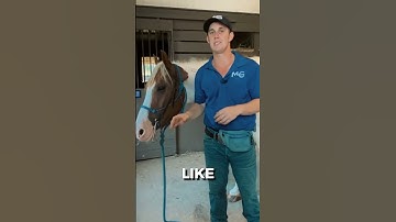 Head Down, Bridle On