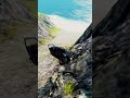 Car Falling Test From High Cliff 🚗⛰️💥 | BeamNG.drive #2