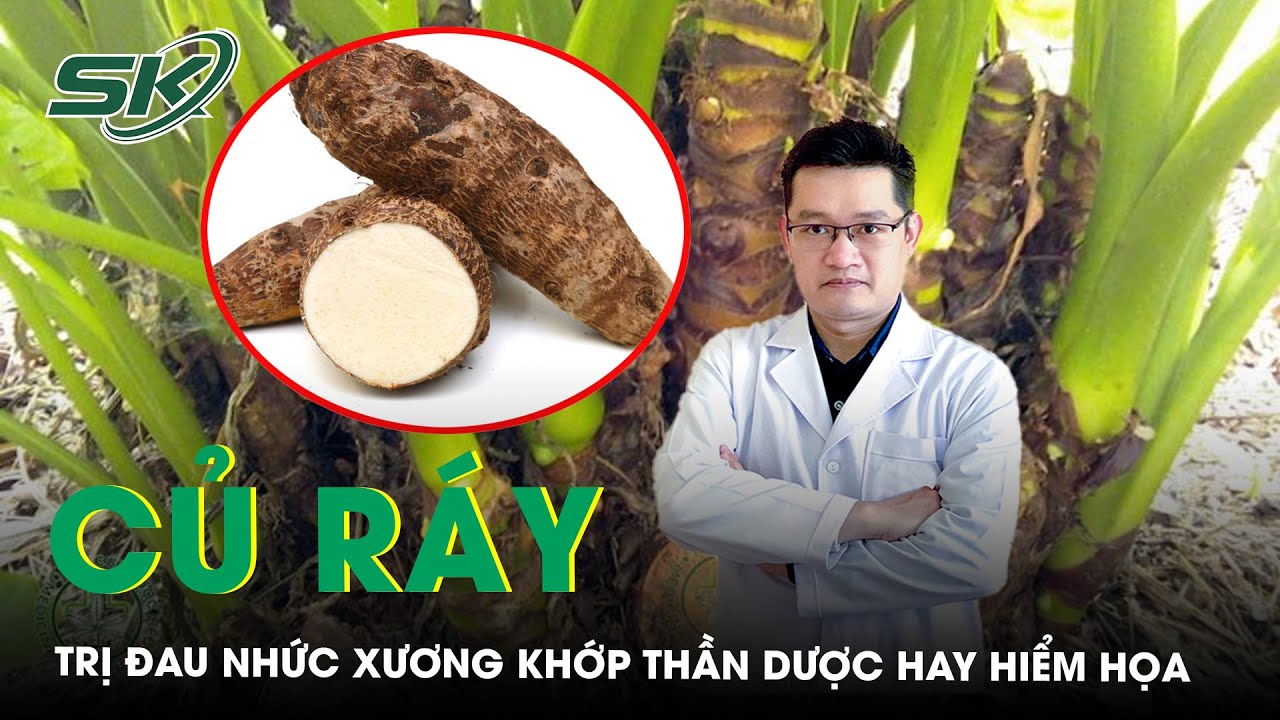 Củ ráy trị đau nhức xương khớp thần dược hay hiểm họa | SKĐS - YouTube