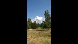 лесной пожар в Хойникском районе