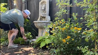 Fence Is Finally Happening! Planting & Removing! || Visit Our Garden