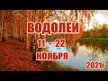 ВОДОЛЕЙ. 11 - 22 ноября 2021года. Таро прогноз, гороскоп.