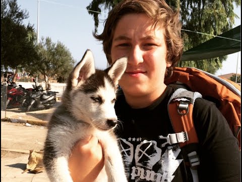 Greece: Syrian Aslan and his Puppy Rose