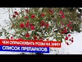 Чем опрыскивать розы на зиму | Список препаратов