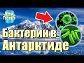 В АНТАРКТИДЕ найдены «ЖИВУЧИЕ» БАКТЕРИИ !!!