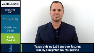 Live and Feeder Cattle futures rallied on Friday. 03/20/26