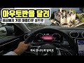 아우토반을 달려 아름다운 슈베린 성에 가봤습니다. 세계여행 독일 [4]