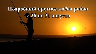 Календарь рыболова с прогнозом клева на ближайшие 7 дней.  Подробный прогноз клёва рыбы с 26 по 31