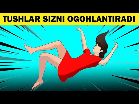 Video: Nega Bitlar Tush Ko'radi?