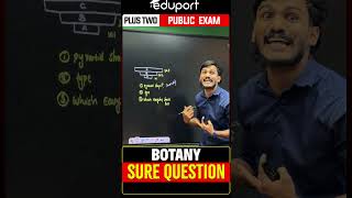Plus Two Botany | Ecological Pyramid | Eduport Plus Two