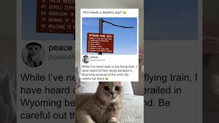This replaced the local weather forecast