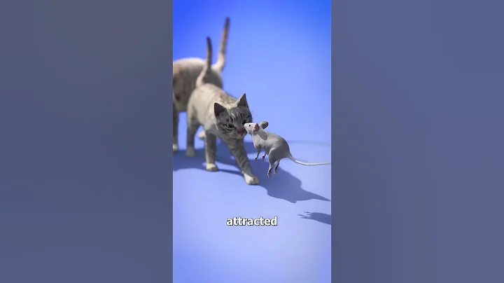 A Parasite That Causes Self-Sacrifice 😨