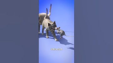 A Parasite That Causes Self-Sacrifice 😨