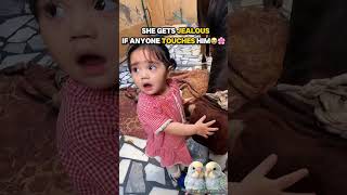 Best video ever bond Animal love therapy #love #bakraeid #shorts #shortsfeed #viralshorts