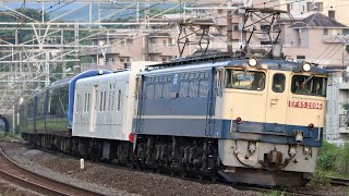 【原色牽引•甲種輸送】 EF65-2096+マニ50-2186+伊豆急2100系 ロイヤルエクスプレス 5両 湯河原〜真鶴通過