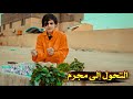 فلم قصير ابو المخضر يتحول إلى مجرم من الواقع يوميات رضاوي فلم قصير ابو المخضر يتحول إلى مجرم من الواقع يوميات رضاوي