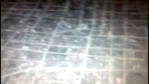 microsoft surface globe