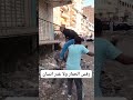 رفس الحمار رايق مصر