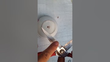 Apply toothpaste on scissors, you will be surprised with the results