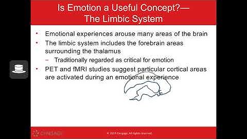 PSY 102 - Chapter 11 (Emotion)