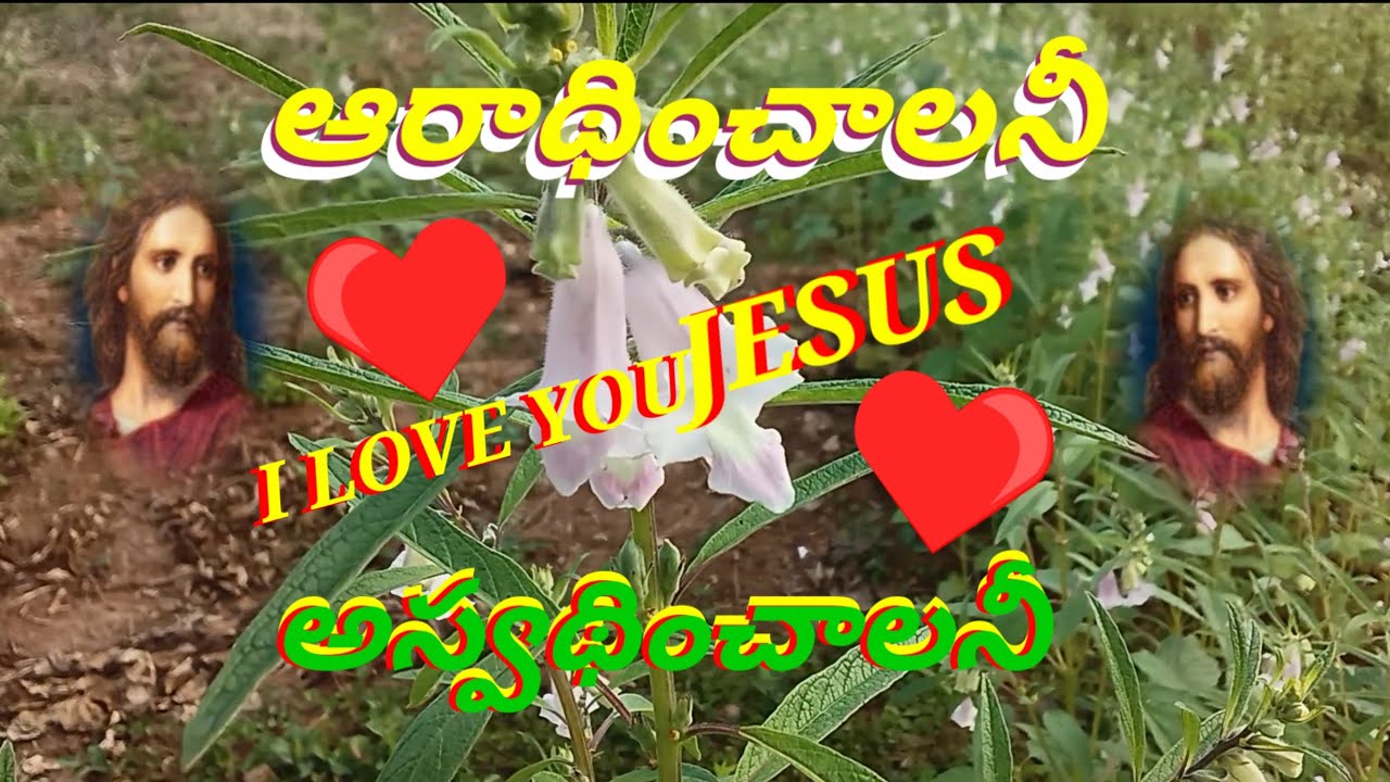 ఆరాధించాలనీ - ఆస్వాధించాలనీ