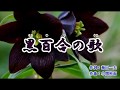 懐メロ~『黒百合の歌』知里 <カバー>