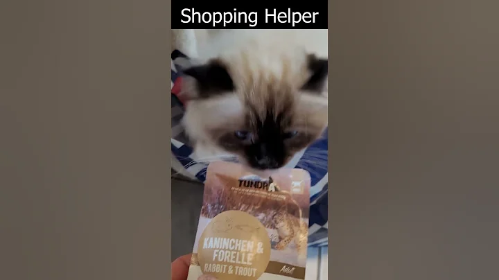 Video 11520411: birman cat, cute cat, cat food