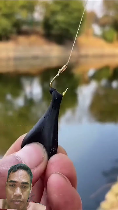 mancing ikan sungai #fishing #shortvideo #carpfishing #mancing #mancingceria #mancingmantap