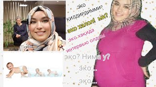 ЭКО🙄/ ЭКО ХАЛОЛ🤔МИ? ЭНДИ ЭКО УЧУН МЕНГА ЁЗИШИНГИЗ МУМКИН😍