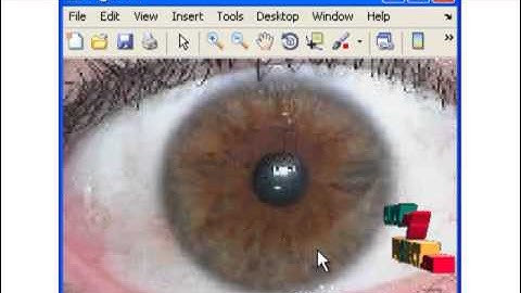 Final Year Projects | A New Human Identification Method: Sclera Recognition