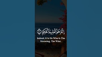 إِنَّ رَ‌بِّي لَطِيفٌ لِّمَا يَشَاءُ...#سورة_يوسف #ياسر_الدوسري #تلاوات