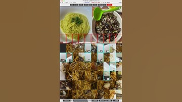 Sliding Puzzle - Puzzlee | 슬라이딩 퍼즐 - 퍼즐이 10x10 Replay  Gan-jajangmyeon(간짜장)  #slidingpuzzle