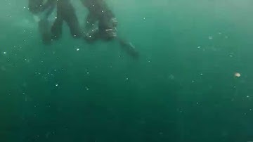 MOCNESS Deployment (R/V Point Sur, 2014)