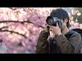 2026年最新！桜を美しく写す撮影テクニック！