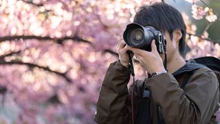 Latest techniques for 2026! Photographing techniques to capture the beauty of cherry blossoms! screenshot 4